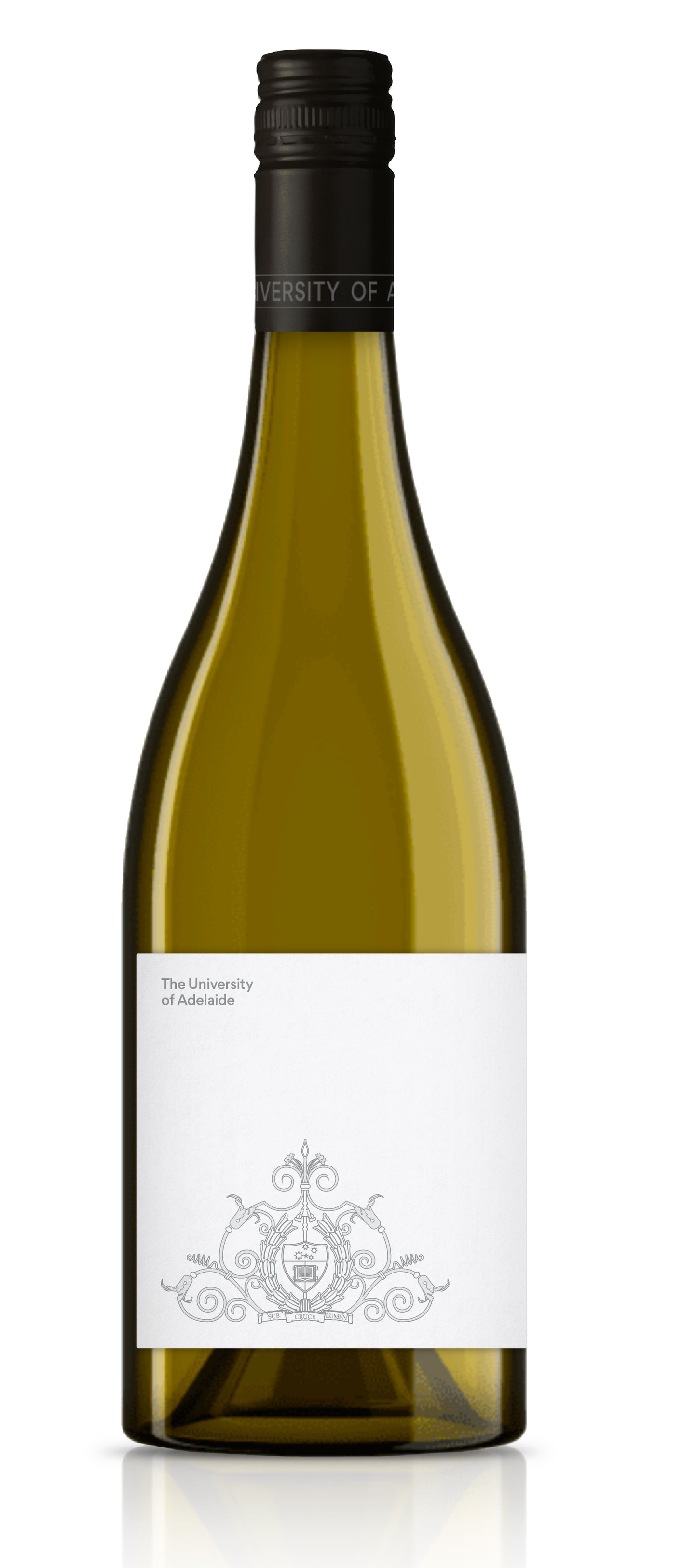 2025 Adelaide Hills Sauvignon Blanc