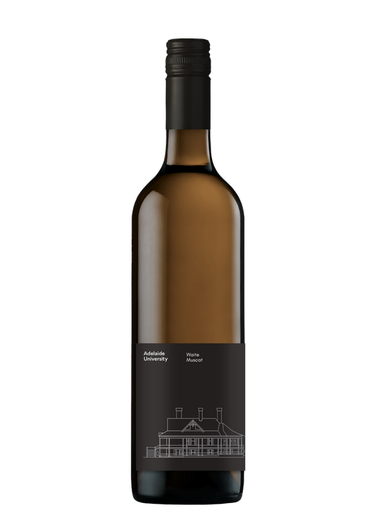 Waite Muscat